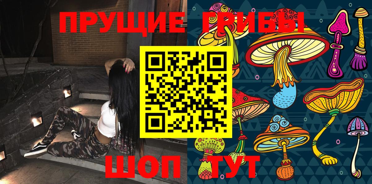 Томск  Галлюциногенные грибы Magic Shrooms  купить наркотик  Вход с VPN 
